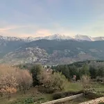 Coeur De La Corse Niolo *