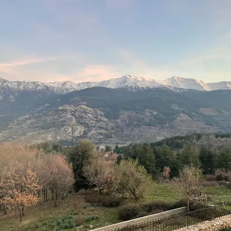 Cœur De La Corse Niolo *